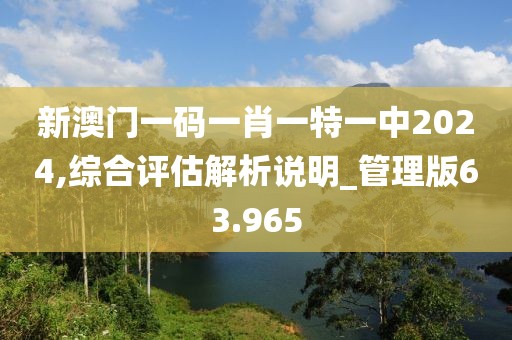 新澳門一碼一肖一特一中2024,綜合評估解析說明_管理版63.965