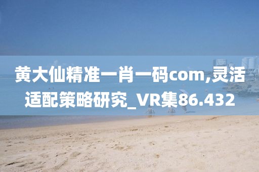 黃大仙精準一肖一碼com,靈活適配策略研究_VR集86.432