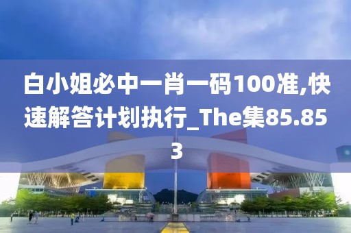 白小姐必中一肖一碼100準,快速解答計劃執行_The集85.853