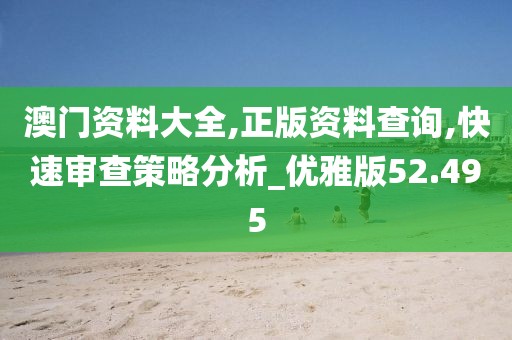 澳門資料大全,正版資料查詢,快速審查策略分析_優雅版52.495