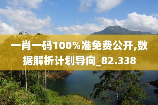 一肖一碼100%準免費公開,數據解析計劃導向_82.338