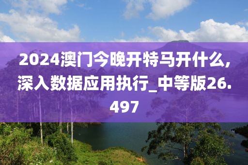 2024澳門今晚開特馬開什么,深入數(shù)據(jù)應用執(zhí)行_中等版26.497