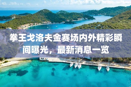 拳王戈洛夫金賽場內外精彩瞬間曝光，最新消息一覽