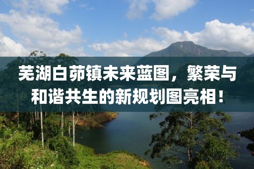 蕪湖白茆鎮未來藍圖，繁榮與和諧共生的新規劃圖亮相！