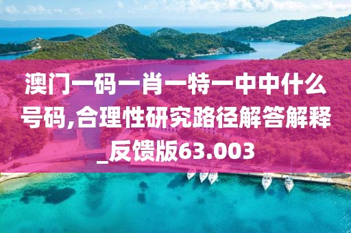 澳門一碼一肖一特一中中什么號碼,合理性研究路徑解答解釋_反饋版63.003