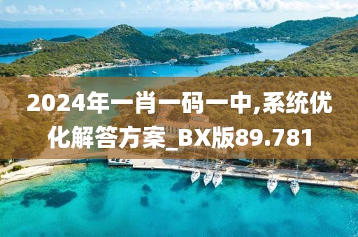 2024年一肖一碼一中,系統優化解答方案_BX版89.781