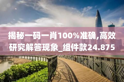 揭秘一碼一肖100%準確,高效研究解答現象_組件款24.875