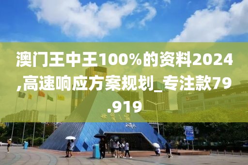 澳門王中王100%的資料2024,高速響應方案規劃_專注款79.919