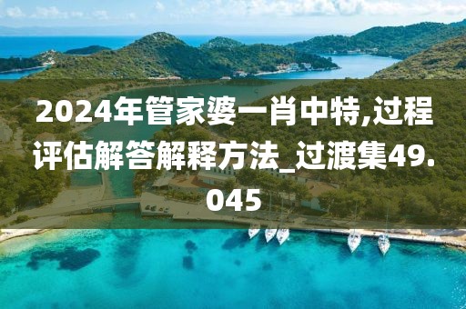 2024年管家婆一肖中特,過程評估解答解釋方法_過渡集49.045