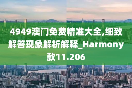 4949澳門免費精準大全,細致解答現象解析解釋_Harmony款11.206