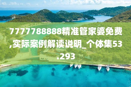 7777788888精準(zhǔn)管家婆免費(fèi),實(shí)際案例解讀說(shuō)明_個(gè)體集53.293