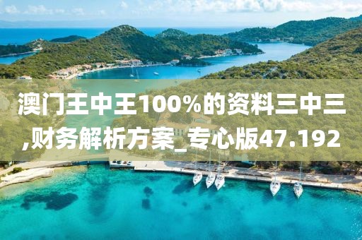 澳門王中王100%的資料三中三,財(cái)務(wù)解析方案_專心版47.192