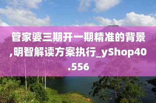 管家婆三期開一期精準(zhǔn)的背景,明智解讀方案執(zhí)行_yShop40.556