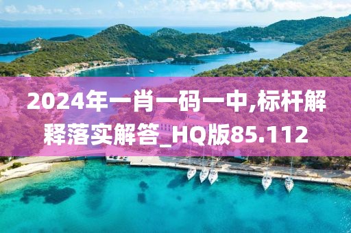 2024年一肖一碼一中,標桿解釋落實解答_HQ版85.112