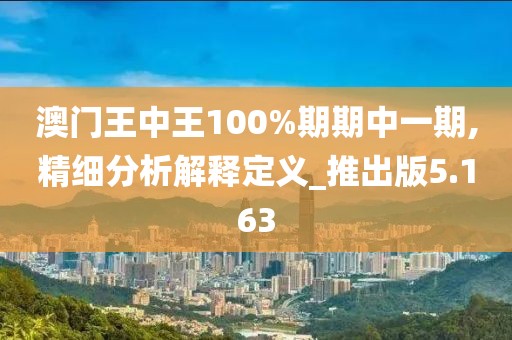 澳門王中王100%期期中一期,精細分析解釋定義_推出版5.163