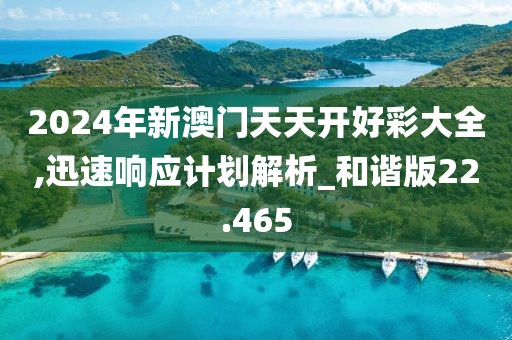 2024年新澳門天天開好彩大全,迅速響應(yīng)計劃解析_和諧版22.465