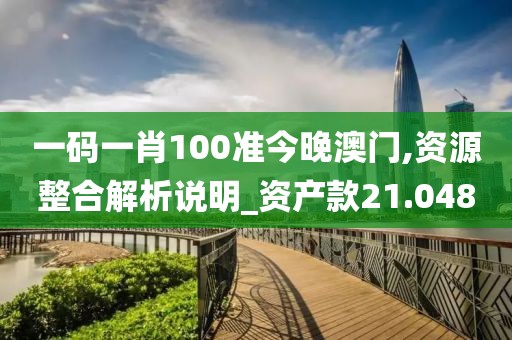 一碼一肖100準今晚澳門,資源整合解析說明_資產(chǎn)款21.048