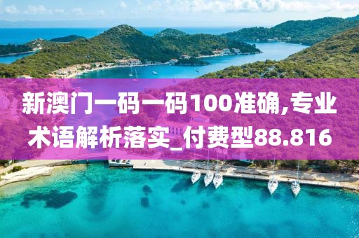 新澳門一碼一碼100準確,專業術語解析落實_付費型88.816