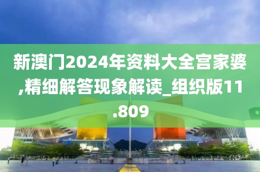 新澳門2024年資料大全宮家婆,精細解答現象解讀_組織版11.809