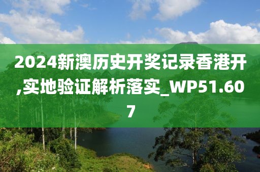 2024新澳歷史開獎記錄香港開,實地驗證解析落實_WP51.607