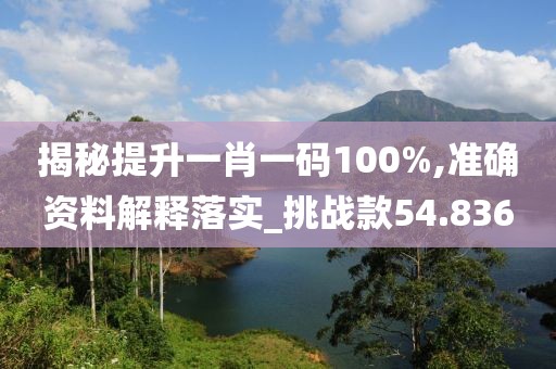 揭秘提升一肖一碼100%,準確資料解釋落實_挑戰款54.836