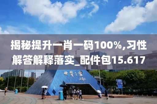 揭秘提升一肖一碼100%,習性解答解釋落實_配件包15.617