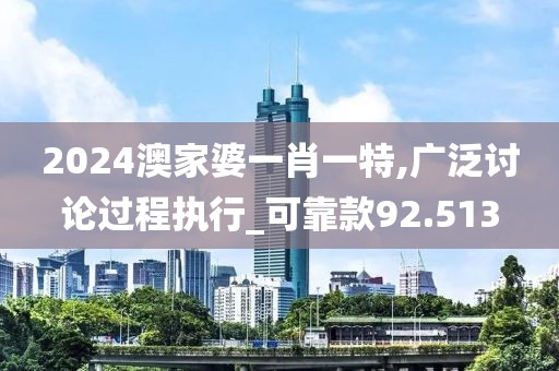 2024澳家婆一肖一特,廣泛討論過程執行_可靠款92.513