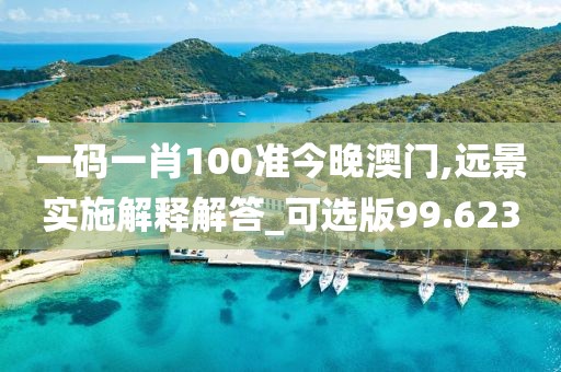 一碼一肖100準(zhǔn)今晚澳門,遠(yuǎn)景實施解釋解答_可選版99.623