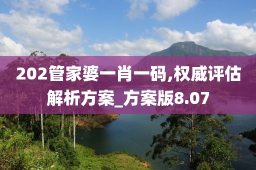 202管家婆一肖一碼,權威評估解析方案_方案版8.07