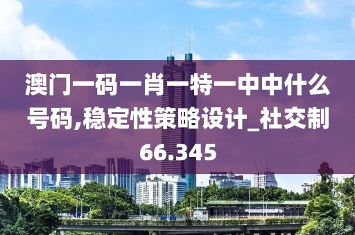 澳門一碼一肖一特一中中什么號碼,穩定性策略設計_社交制66.345