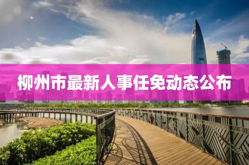 柳州市最新人事任免動態公布