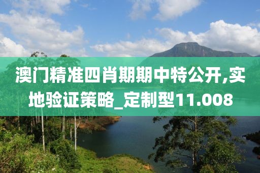 澳門精準四肖期期中特公開,實地驗證策略_定制型11.008