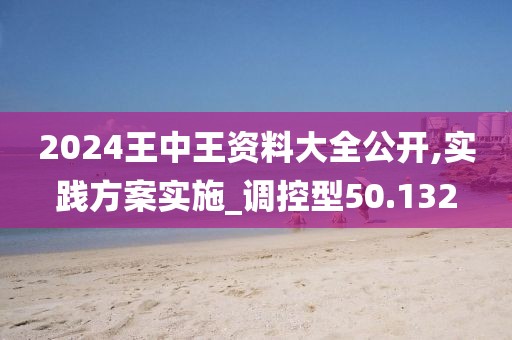 2024王中王資料大全公開,實踐方案實施_調控型50.132