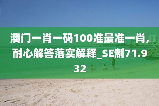 澳門一肖一碼100準最準一肖,耐心解答落實解釋_SE制71.932