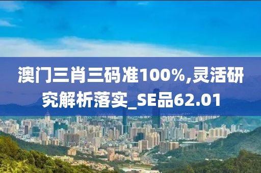 澳門三肖三碼準100%,靈活研究解析落實_SE品62.01