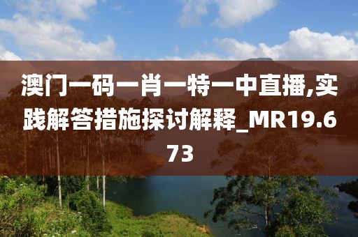 澳門一碼一肖一特一中直播,實踐解答措施探討解釋_MR19.673