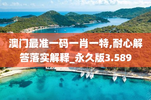 澳門最準(zhǔn)一碼一肖一特,耐心解答落實(shí)解釋_永久版3.589