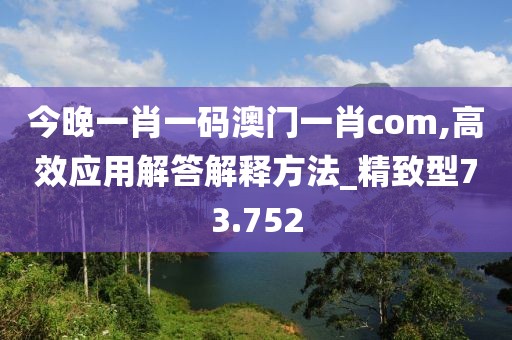 今晚一肖一碼澳門一肖com,高效應(yīng)用解答解釋方法_精致型73.752