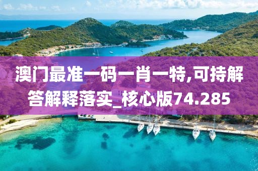 澳門最準(zhǔn)一碼一肖一特,可持解答解釋落實(shí)_核心版74.285