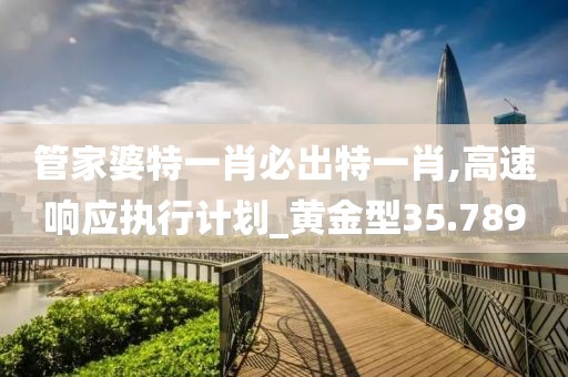 管家婆特一肖必出特一肖,高速響應(yīng)執(zhí)行計劃_黃金型35.789